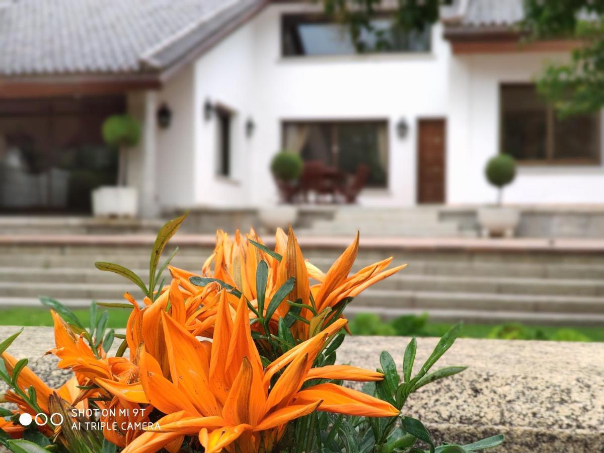 Villa Blanca Con Piscina A 15 Minutos De Toledo - Apartamentos Aloha Toledo Olías del Rey エクステリア 写真