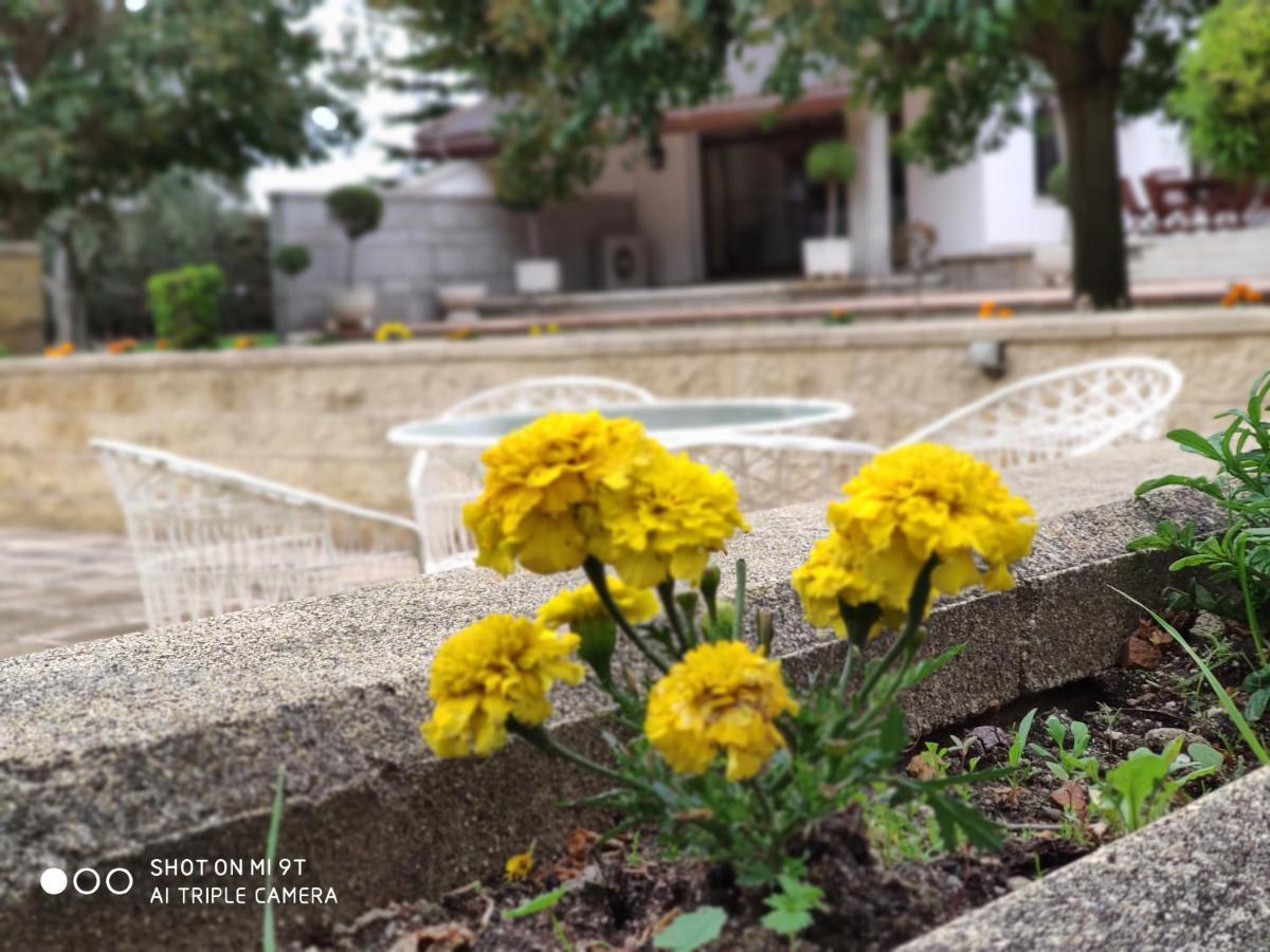 Villa Blanca Con Piscina A 15 Minutos De Toledo - Apartamentos Aloha Toledo Olías del Rey エクステリア 写真